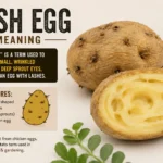 Lash Egg Meaning