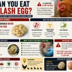 Can You Eat a Lash Egg