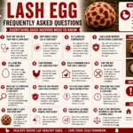 Lash Egg Frequently Asked Questions