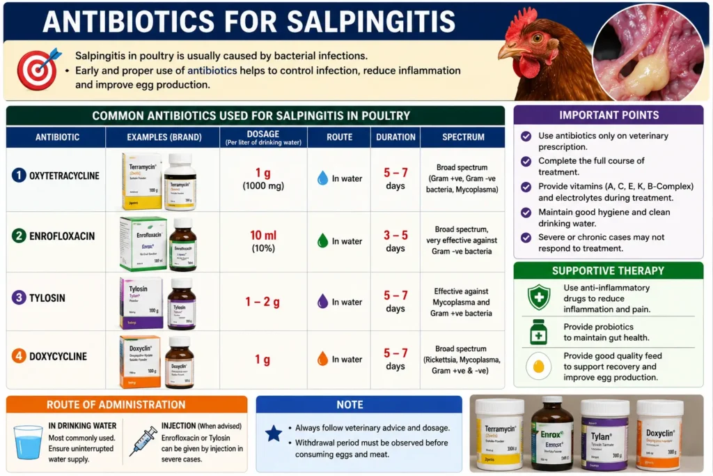 Antibiotics for Salpingitis