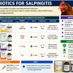 Antibiotics for Salpingitis