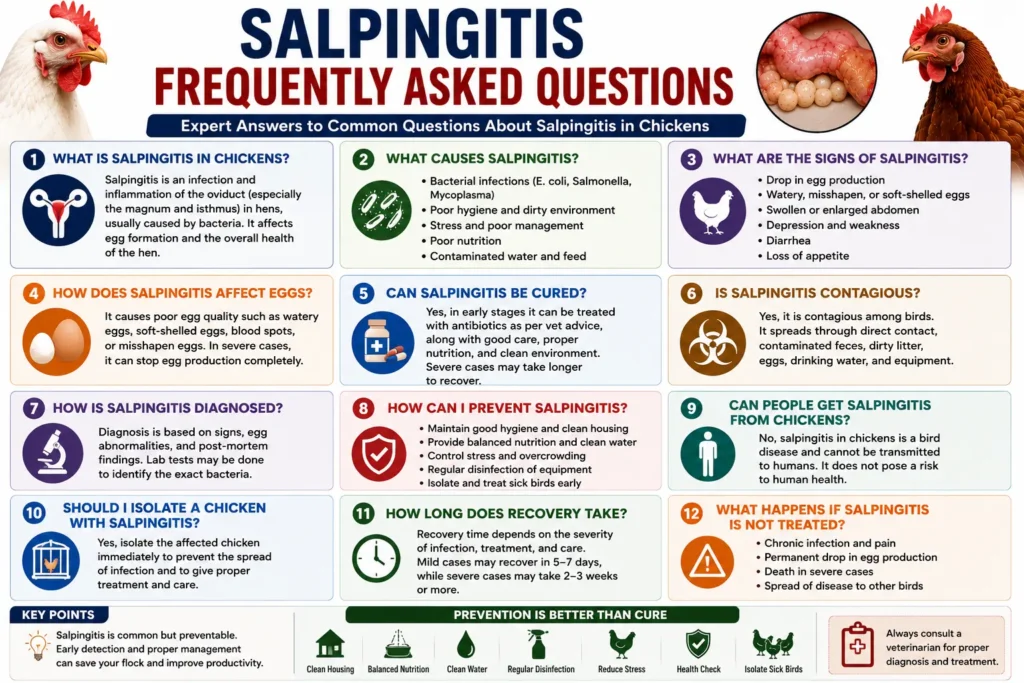 Salpingitis Frequently Asked Questions