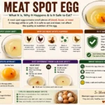 Meat Spot Egg