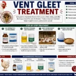 Vent Gleet Treatment