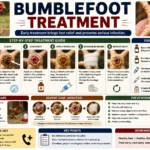 Bumblefoot Treatment
